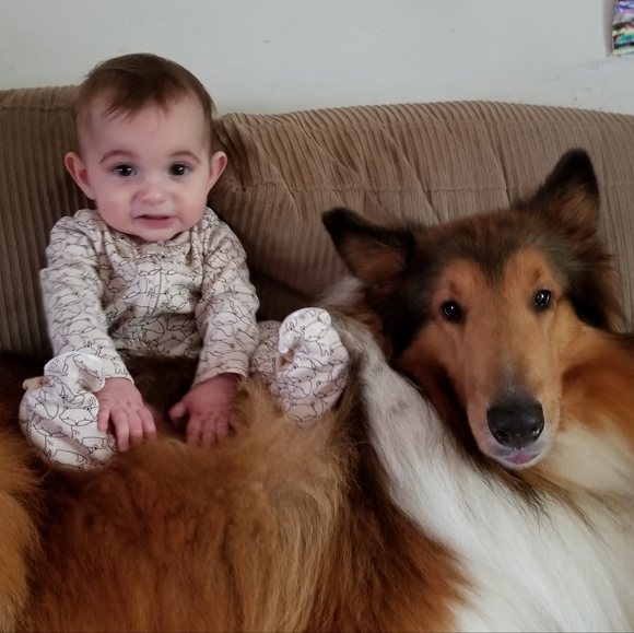 Dogs & Kids - Picture 5 of 16